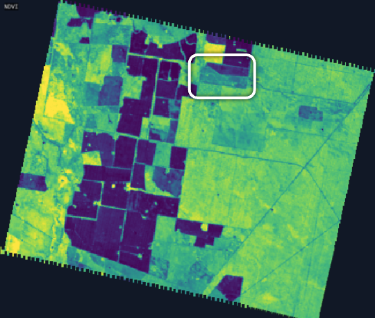 Tanager NDVI, boxed parcel