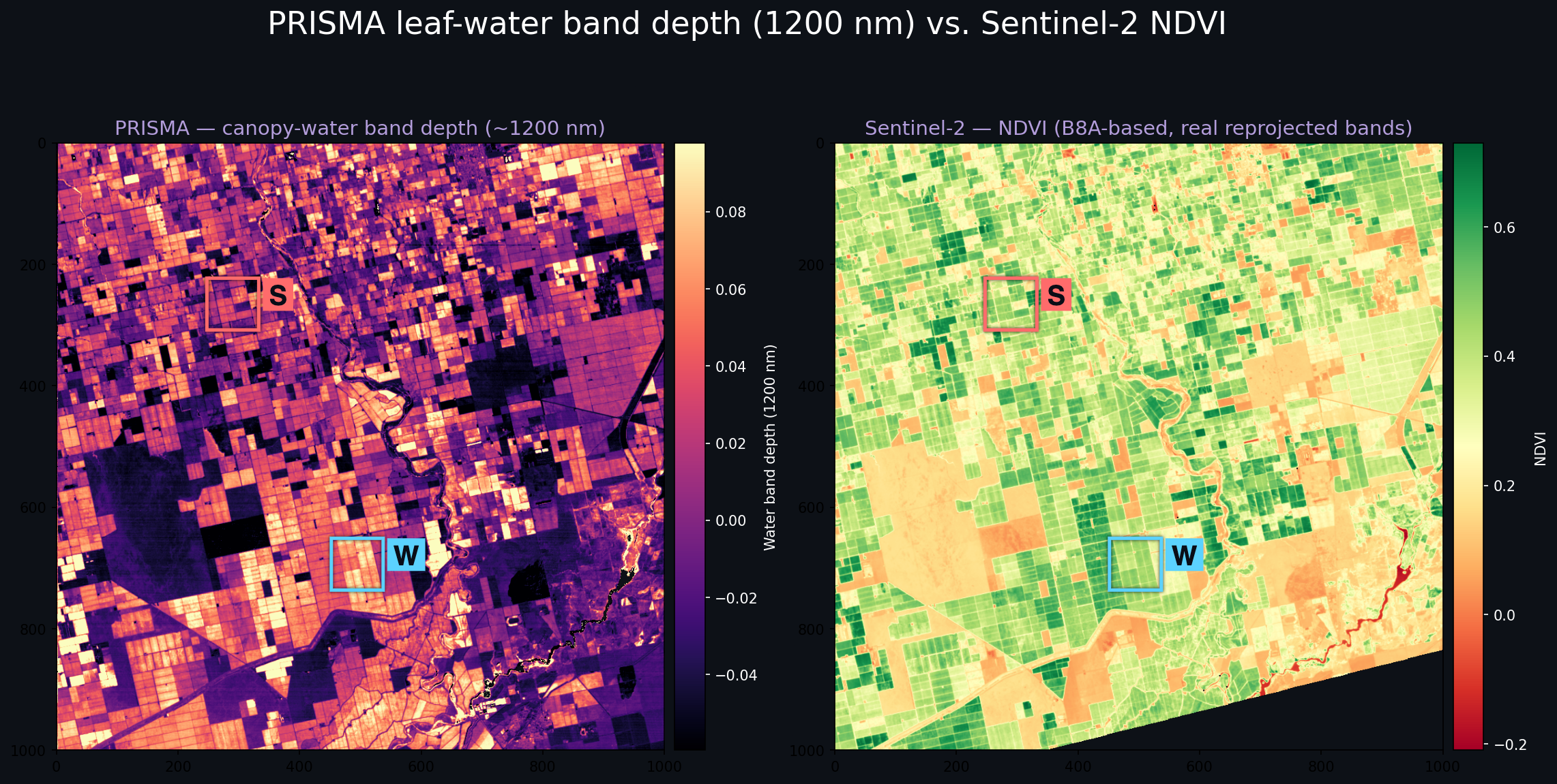 PRISMA 1200nm canopy-water band depth vs Sentinel-2 NDVI, parcels S and W